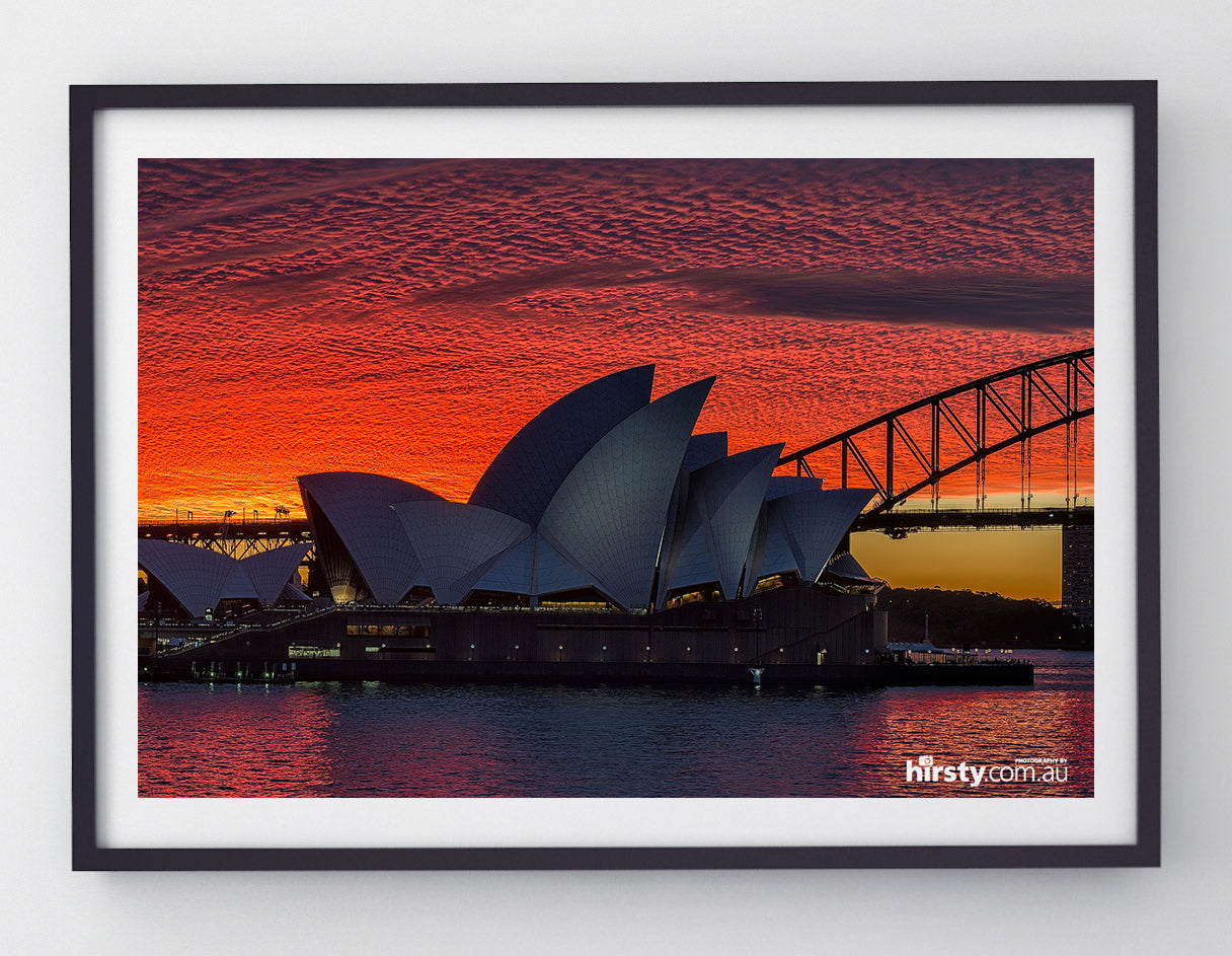 Simply Red, Sydney Harbour