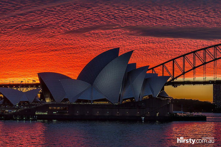 Simply Red, Sydney Harbour
