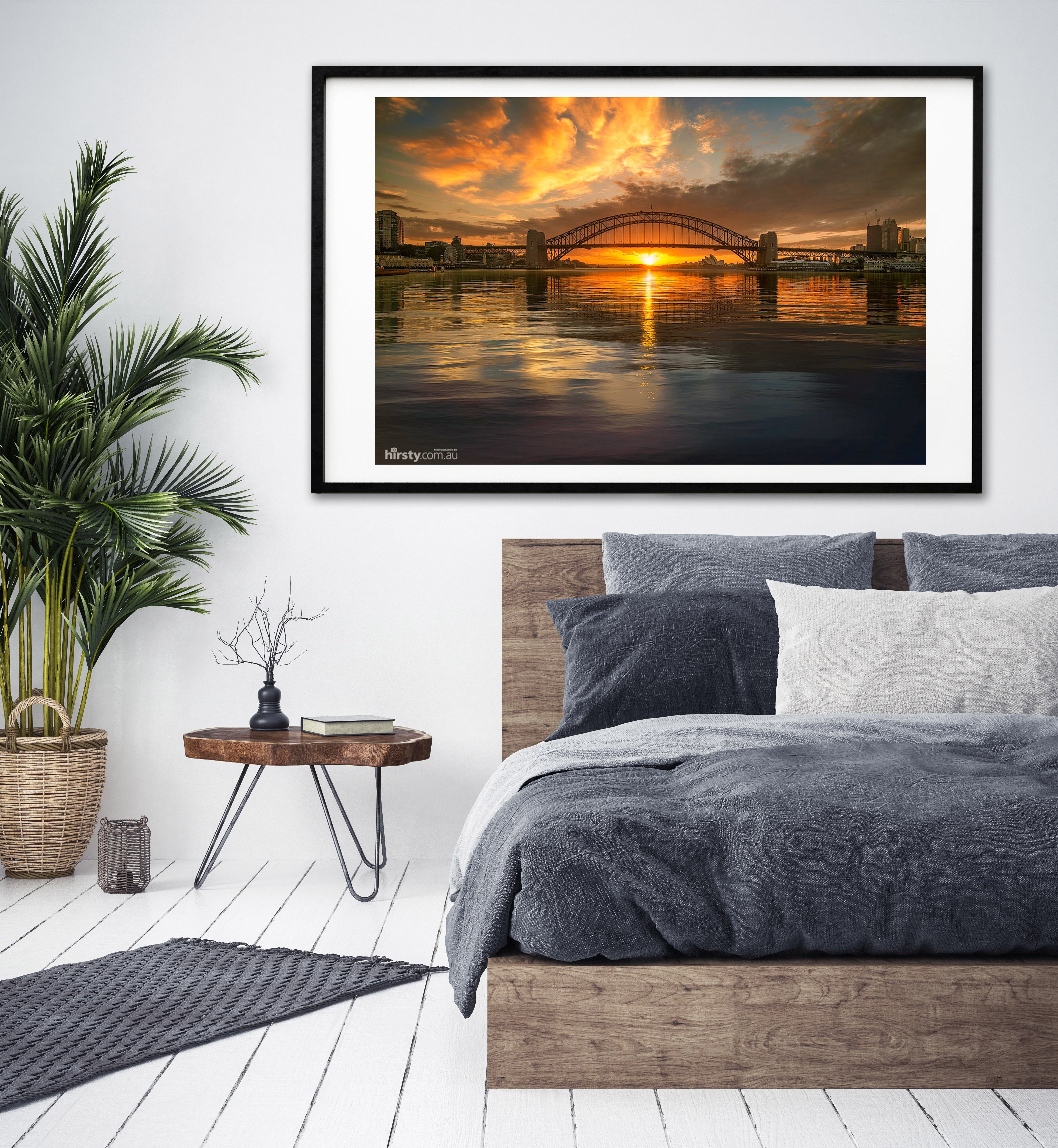 Spotlight, Sydney Harbour