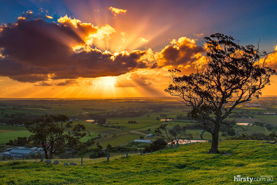Spray, Barossa Valley, fine art photograph by Richard Hirst