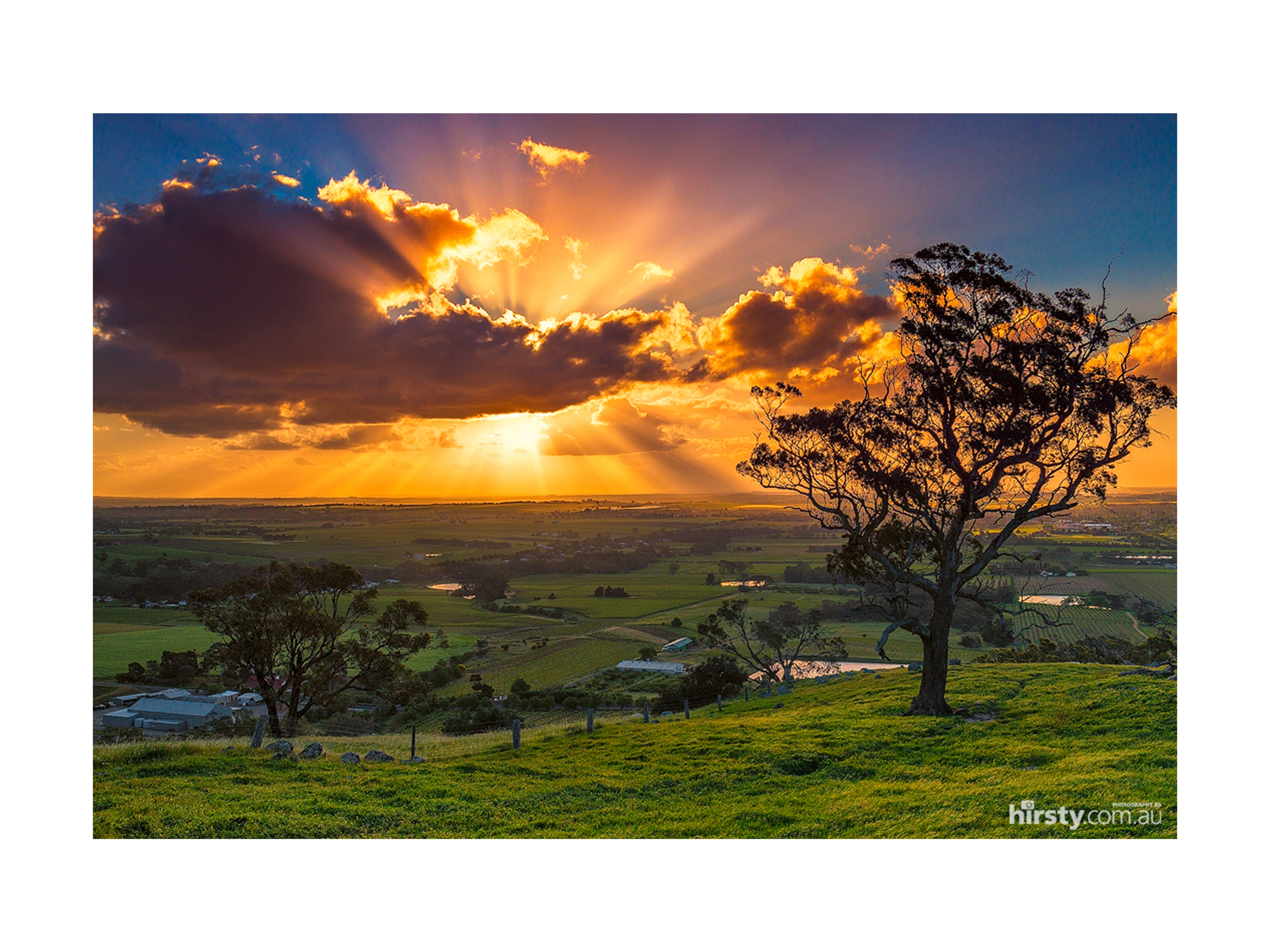 Spray, Barossa Valley