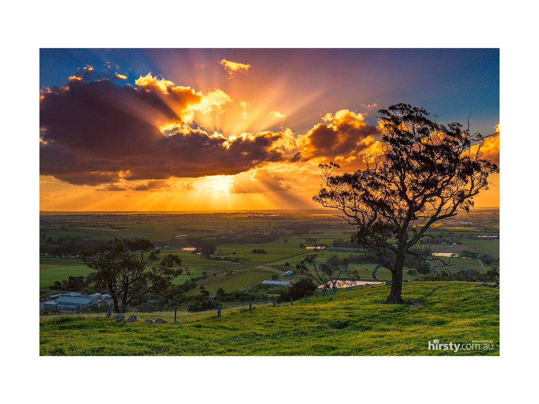 Spray, Barossa Valley, fine art photograph by Richard Hirst