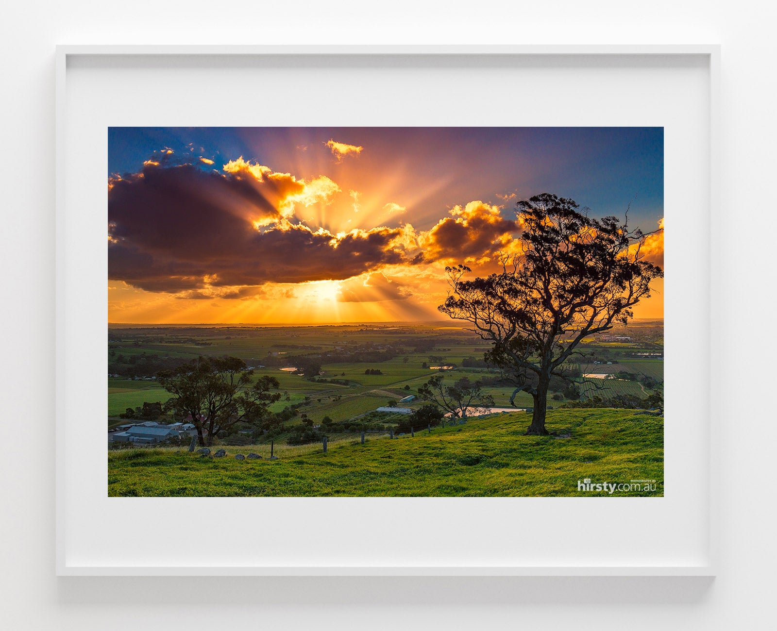 Spray, Barossa Valley