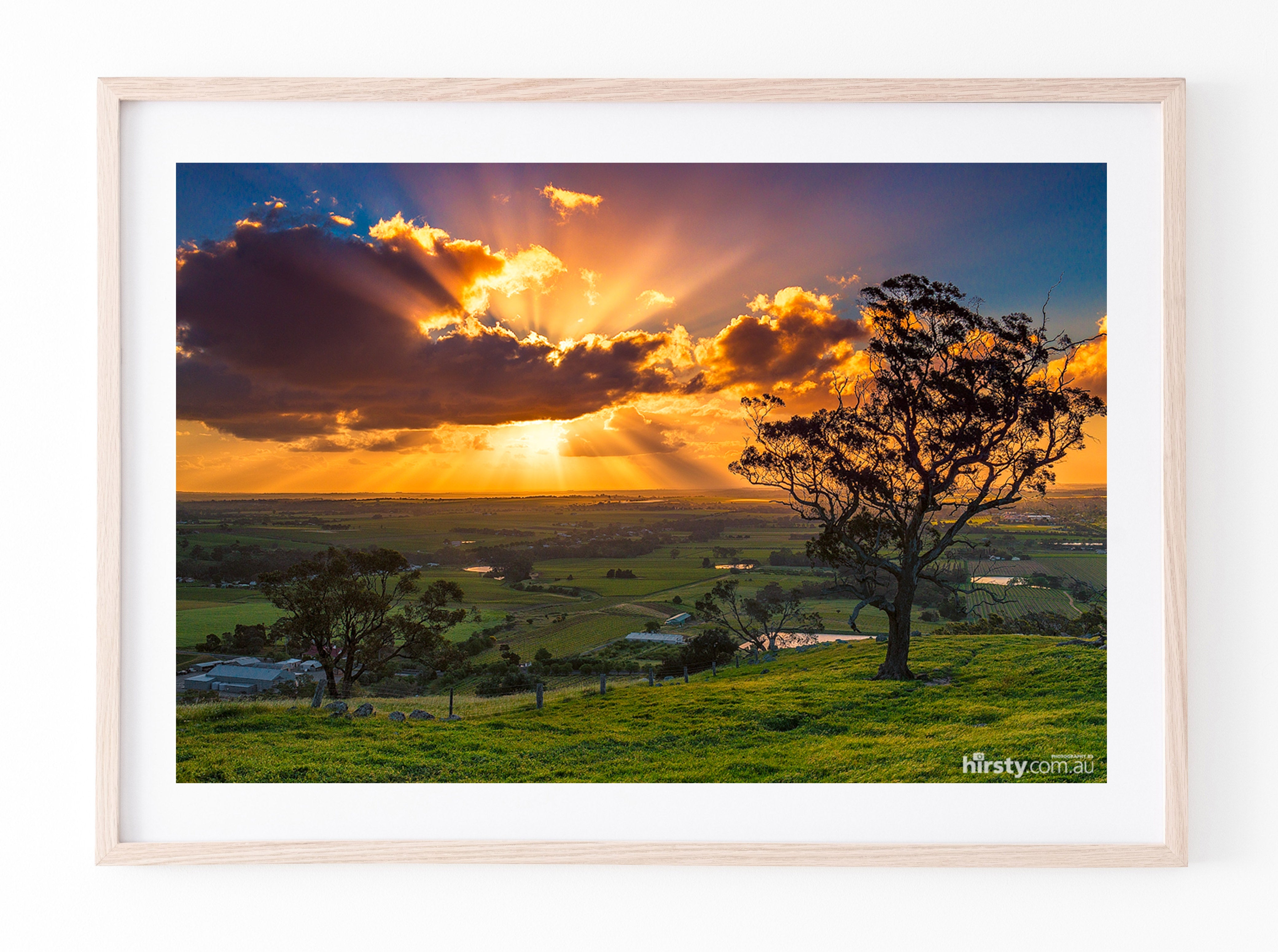 Spray, Barossa Valley