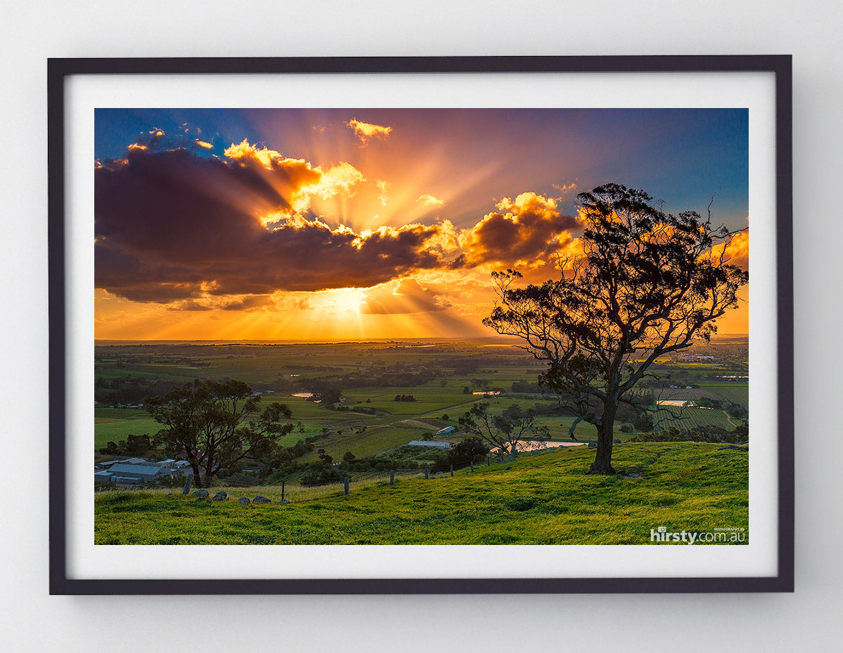 Spray, Barossa Valley