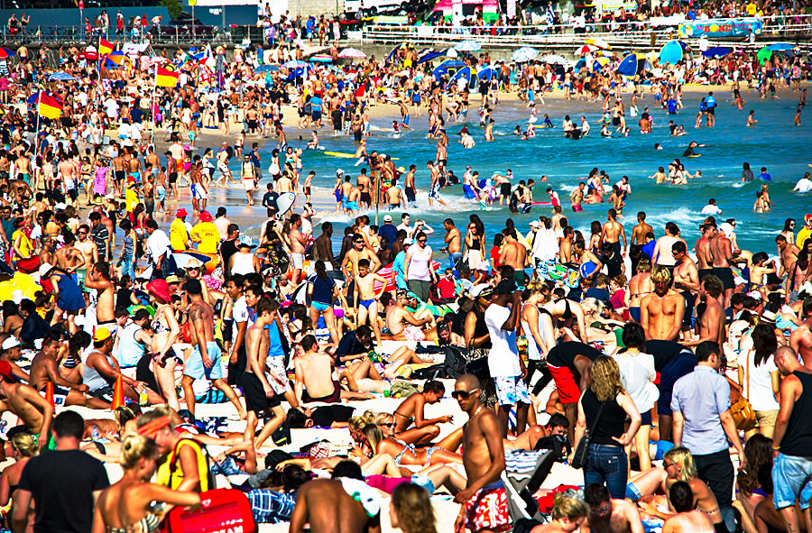 Summer Sardines, Bondi Beach print