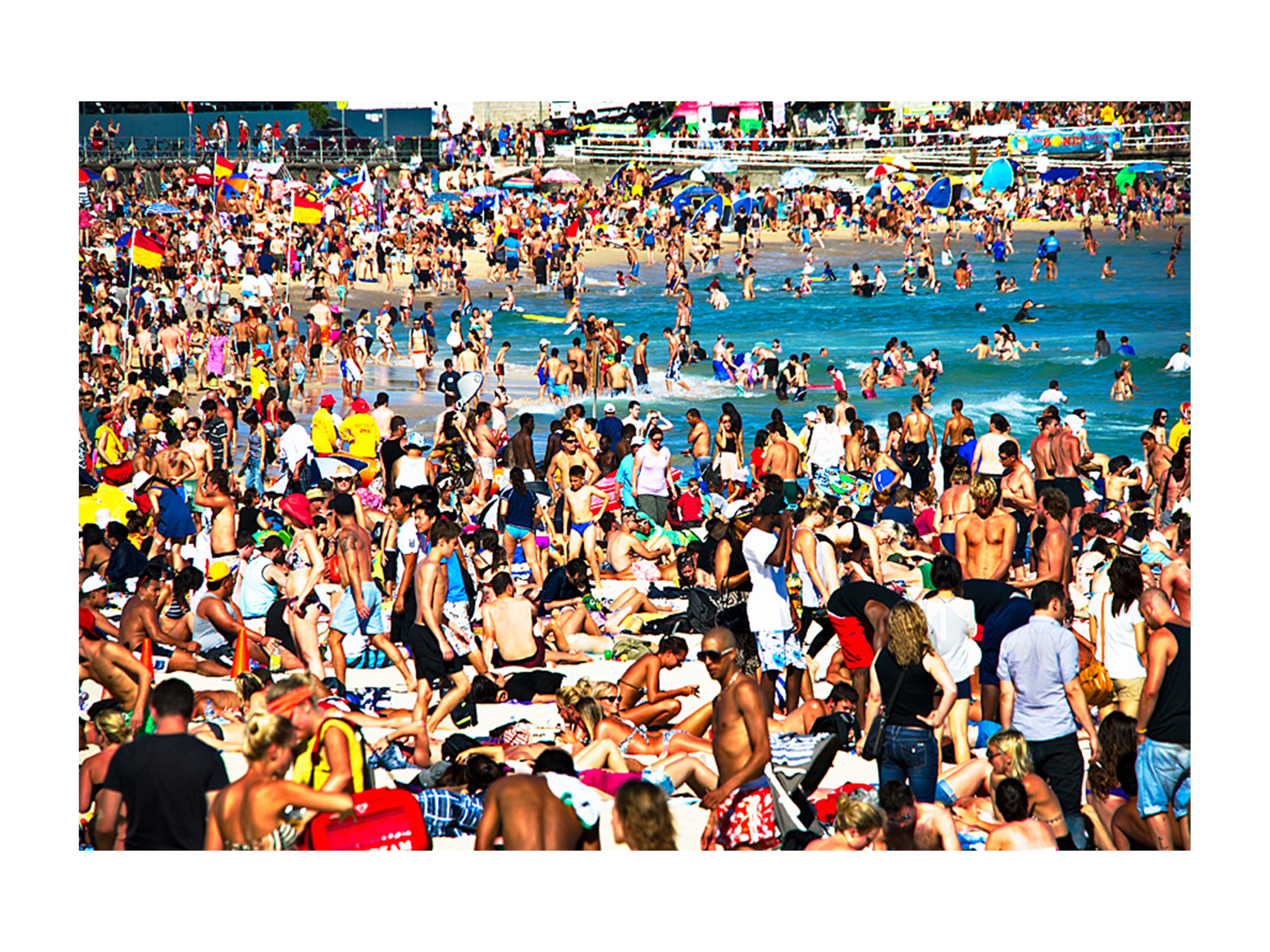 Summer Sardines, Bondi Beach