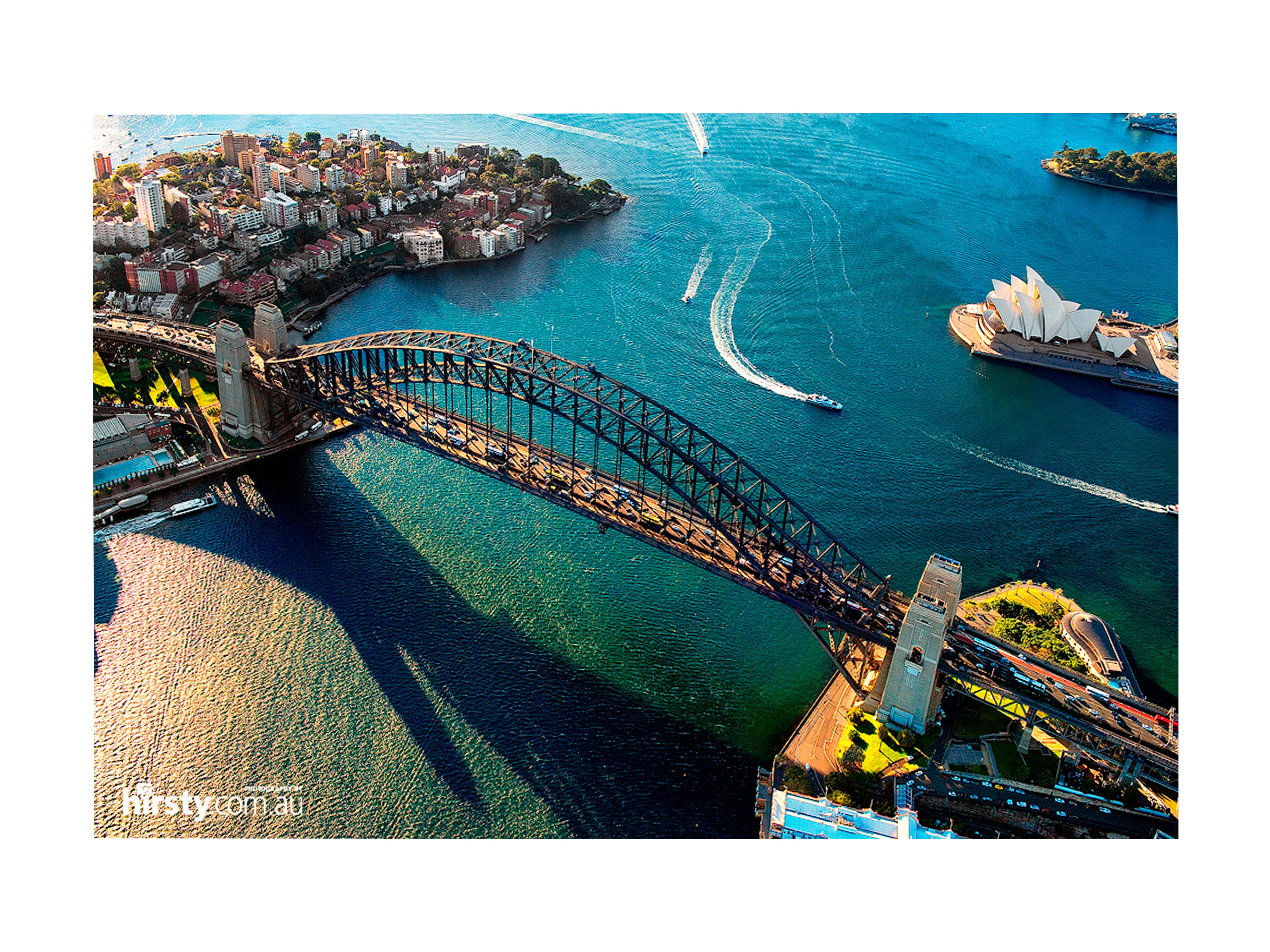 Taking Flight, Sydney Harbour