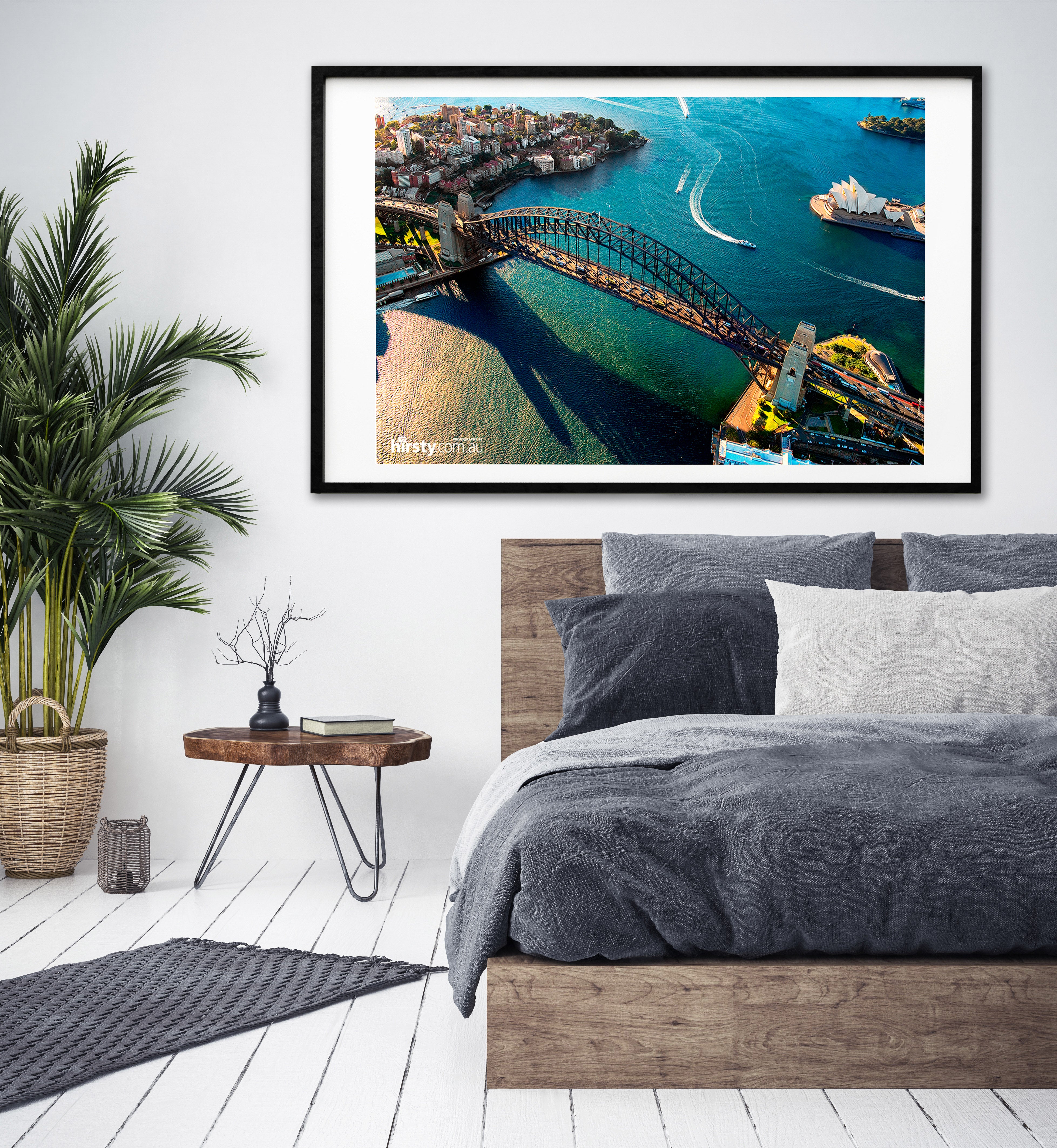 Taking Flight, Sydney Harbour