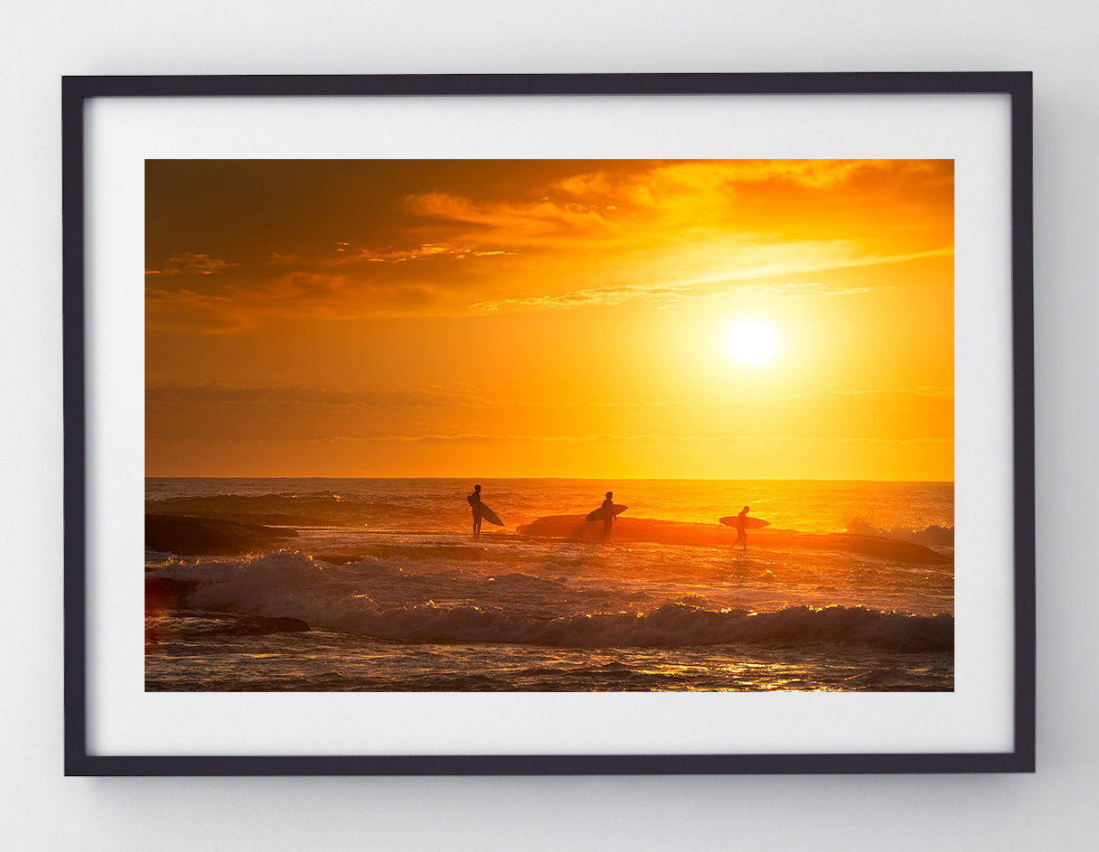 Trio, Tamarama